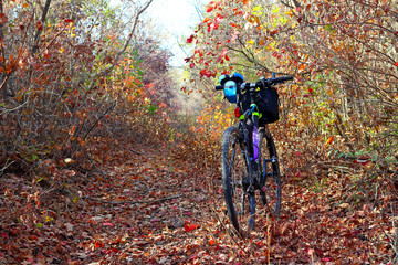 Bicycle in the autumn forest among multicolored leaves. Autumn walk on a bicycle in the autumn forest.
