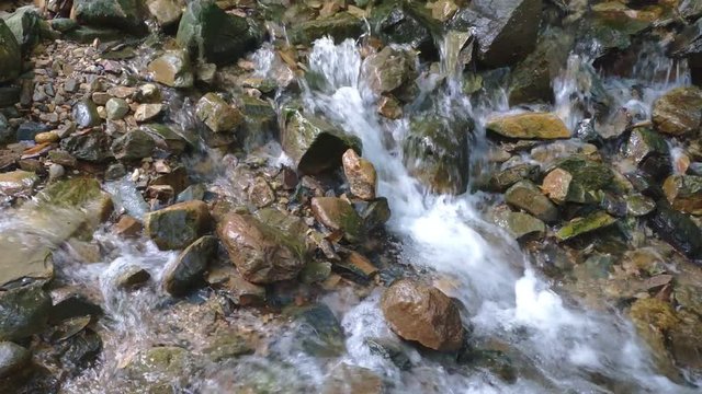 Pure fresh water waterfall in forest