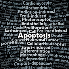 Apoptosis word cloud