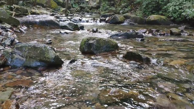 Pure fresh water waterfall in forest