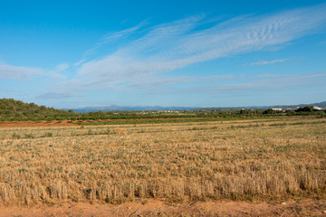 Obraz premium The road to Santiago and the via augusta in Castellon