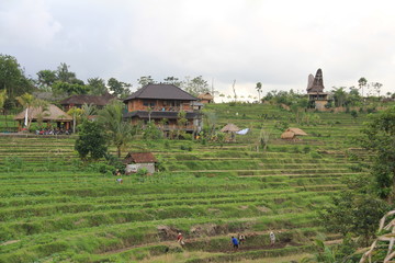 Obraz premium Lombok