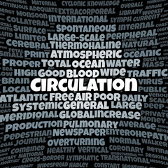 Fototapeta premium Circulation word cloud