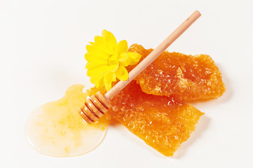 Fresh honeycombs on white background