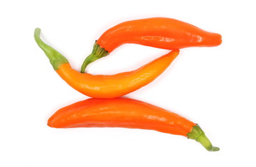 Spicy paprika, peppers isolated on white background