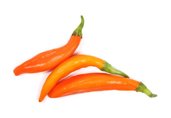 Spicy paprika, peppers isolated on white background