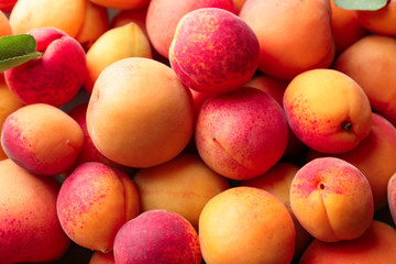 Ripe sweet apricots, closeup