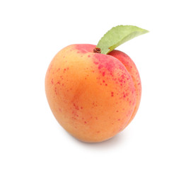 Ripe apricot on white background