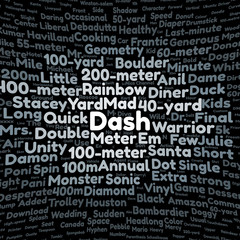 Fototapeta premium Dash word cloud