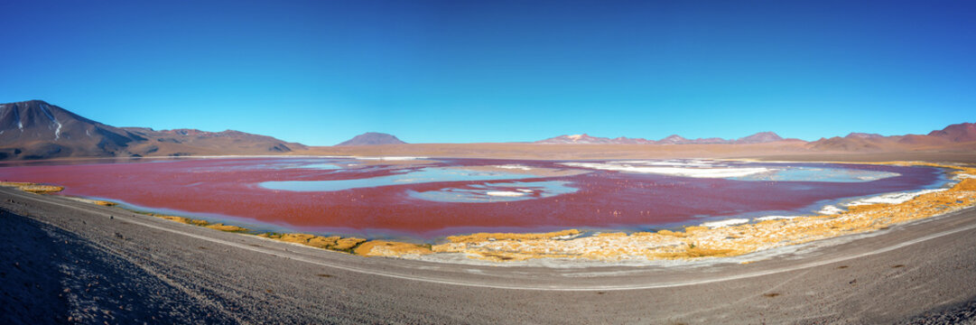 Panorama of Laguna Colorada, colorful salt lake in Sur Lipez province, Potosi, Bolivia