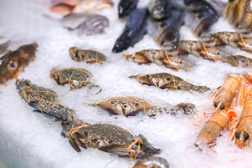 Counter with fresh seafood in ice