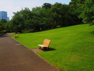 bench in the park