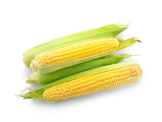 Ripe corn cobs on white background