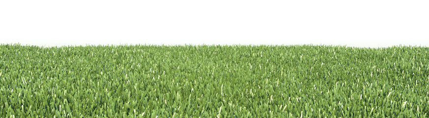 Grass, wide frame background.