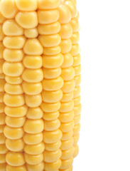 Fresh corn cob on white background, closeup