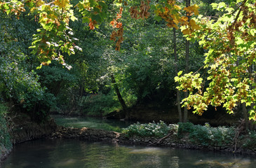 Obraz premium Grand Morin river in Île de France country