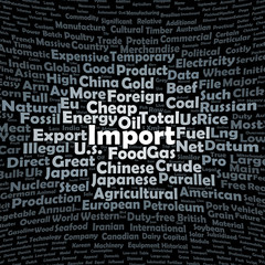 Fototapeta premium Import word cloud
