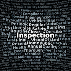 Inspection word cloud
