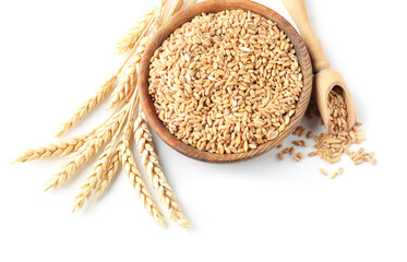 Bowl and scoop with wheat grains on white background