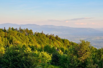 Spring mountain landscape. A beautiful view of the green hills.