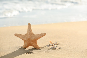 Fototapeta na wymiar Starfish on sea beach at resort