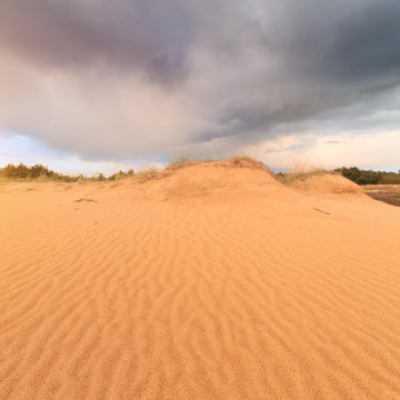 sand dunes in the woods, the storm clouds before sunset
