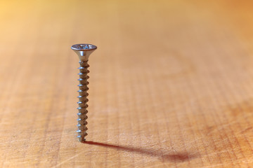 screw standing on wooden Board / photo minimalism with small depth of field