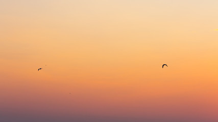 bright colors of the evening sky / nature is always pleased with something that is not repeatable