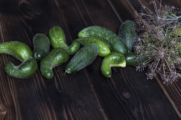 Fresh green cucumber with flowering dill on a wooden background