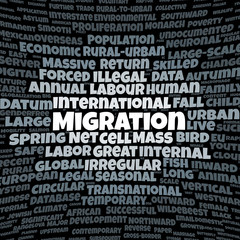 Migration word cloud