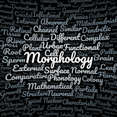Fototapeta premium Morphology word cloud