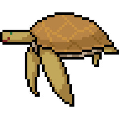 vector pixel art turtle