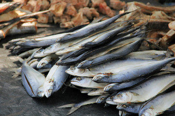 Fototapeta premium Dri Fish