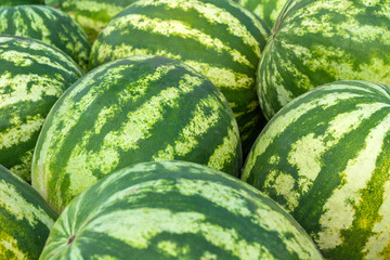 background of many ripe, green, striped watermelons