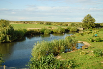 Stratford-up-on-Avon