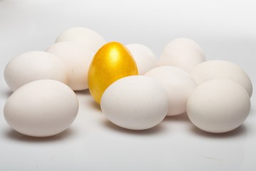 Ten White Eggs and One Gold Egg on Grey Backround