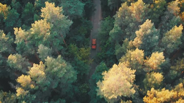 Aerial view from the Drone to the Red Car Riding along the Road in a Pine Forest. Top view flying over old patched two lane forest road with car moving green trees of dense woods growing both sides