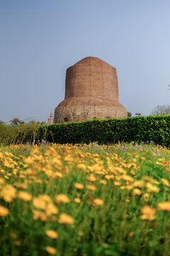 Dhamekh Stupa and Panchaytan temple ruins, Sarnath, Varanasi, India