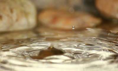 beautiful fresh drop water in fresh nature