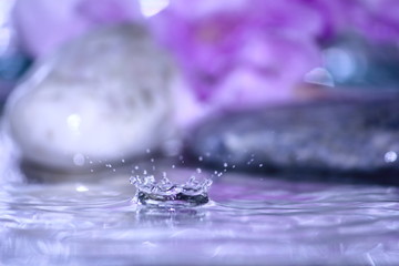 beautiful fresh drop water in fresh nature