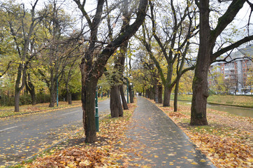 Beautiful Autumn path at Sarajevo.
