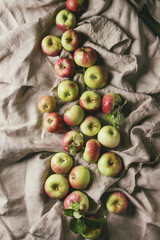 Ripe gardening green red apples with leaves over linen cloth as background. Flat lay, space. Autumn harvest.