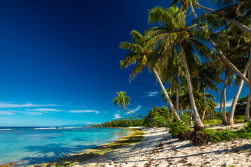 Beach with coral reef on south side of Upolu framed by palm leaves, Samoa