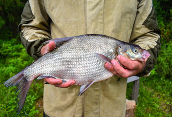 The fisherman holds a fish he has caught