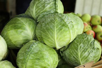 Fototapeta na wymiar Fresh cabbage in cardboard box at market