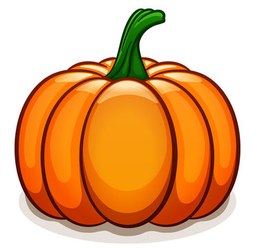 Vector pumpkin on white background