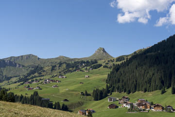 Bregenzer Wald &Ouml;sterreich Dam&uuml;lser Mittagsspitze und Hohes Licht