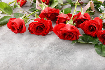 Beautiful red roses on grey background