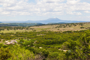 Bushland and open fields near Ladismith, KZN, South Africa.