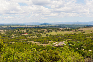 Fototapeta na wymiar Bushland and open fields near Ladismith, KZN, South Africa.